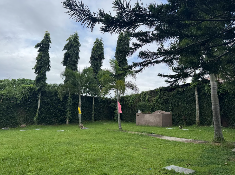Garden of Eden